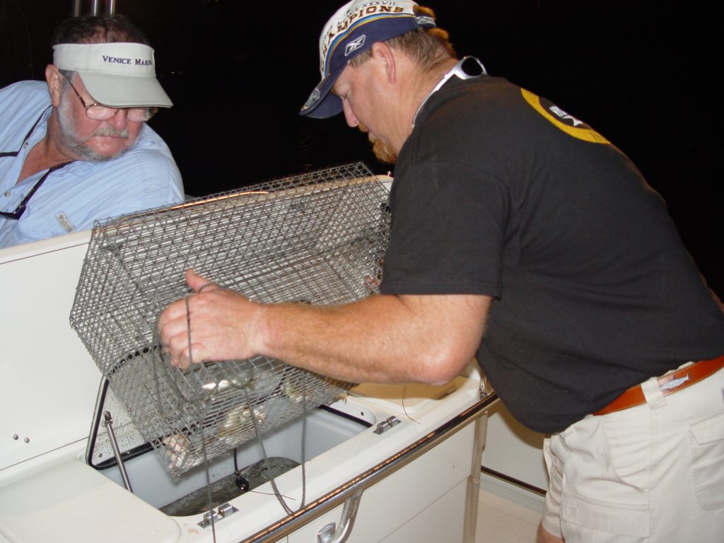 Pinfish Trap Basics Florida Sportsman