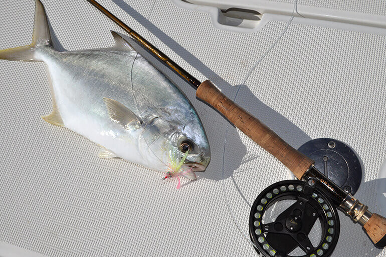 Tips on How to Fly Fish for Pompano - Florida Sportsman